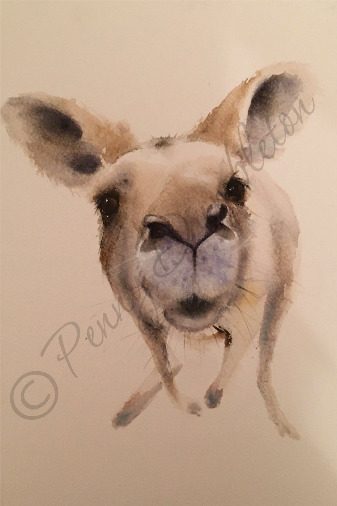 Watercolours by Penny - Jack