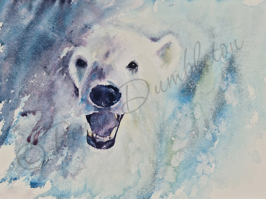 Watercolours by Penny - Out of the Ice