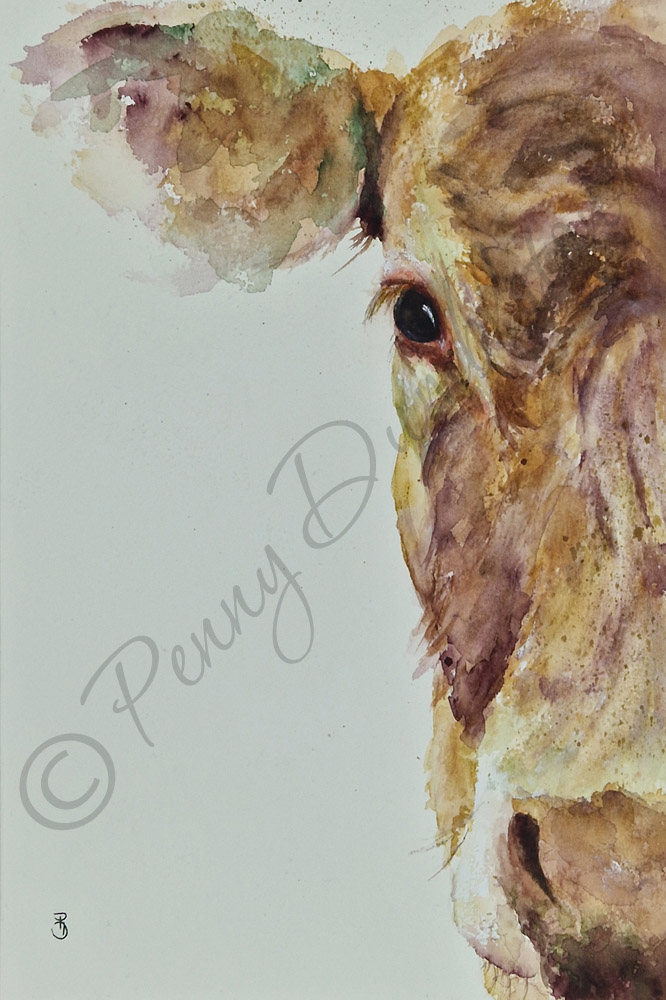 Watercolours by Penny - Peeking