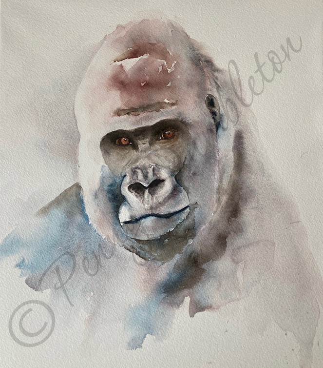 Watercolours by Penny - Pride