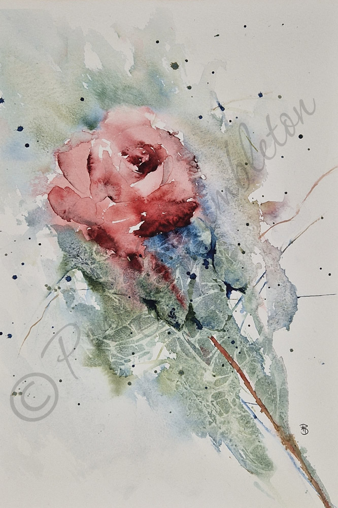 Watercolours by Penny - Red Rose