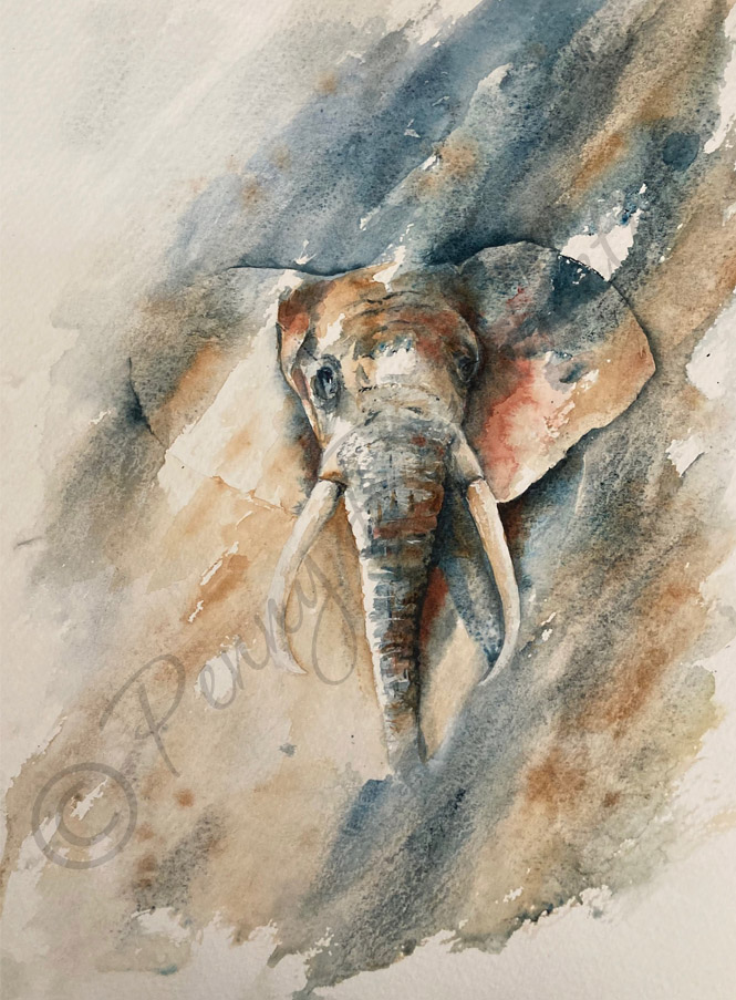 Watercolours by Penny - Hidden