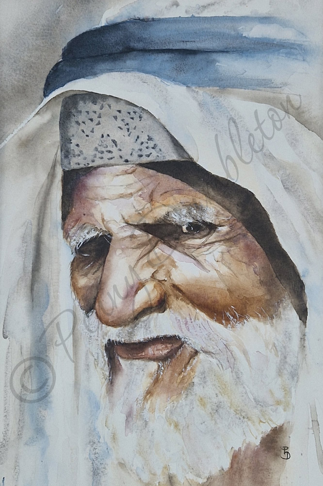 Watercolours by Penny - Wisdom