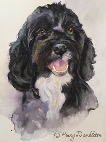 Watercolours by Penny - Pet Portrait 2