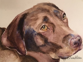 Watercolours by Penny - Pet Portraits 7
