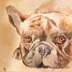 Watercolours by Penny - Pet Portraits 18
