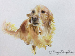 Watercolours by Penny - Pet Portraits 9