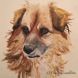 Watercolours by Penny - Pet Portraits 12