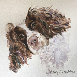 Watercolours by Penny - Pet Portrait 1