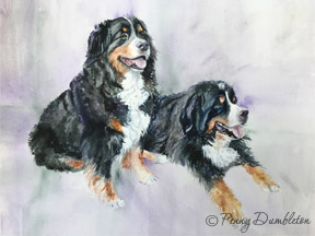 Watercolours by Penny - Pet Portraits 4